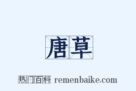 唐草是什么意思的图片